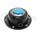 HUB CAP