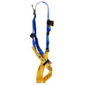 Werner Ladder blue auto part