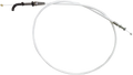 STANDARD IGN auto part detail