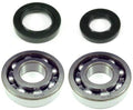 All Balls Racing 04-06 Polaris Predator 50 Crank Shaft Bearing Kit