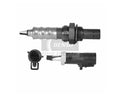 O2 OXYGEN SENSOR