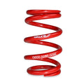 Skunk2 Racing springs close-up