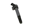 STANDARD IGN auto part detail