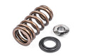 Valve Spring Kit (1 Set) Fits various VW, Audi, Seat, Skoda, Cupura, Bentley, Lamborghini, and Porsche vehicles APR