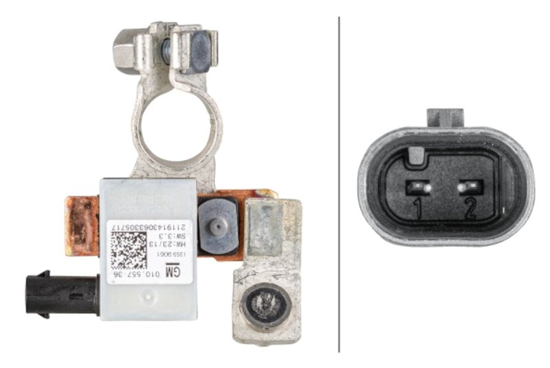 INTELLIGENT BATTERY SENSOR