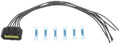 STANDARD IGN auto part
