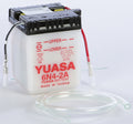 Yuasa 6N4-2A Conventional 6-Volt Battery