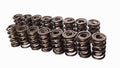 Race Endur 1.56" Dual Sprng, 2.05" In Ht