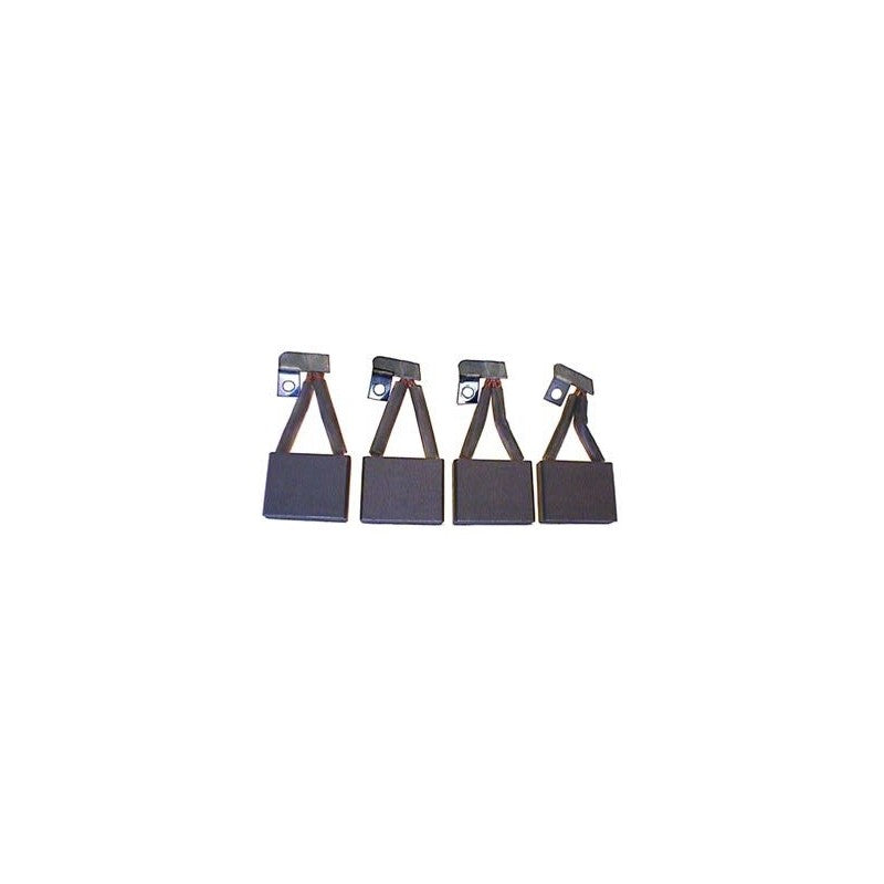 CARBON-BRUSH SET