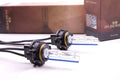 5202/2504: XTR 6000K HID BULBS (PAI