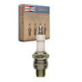 SMALL ENGINE PLUG 8/BOX