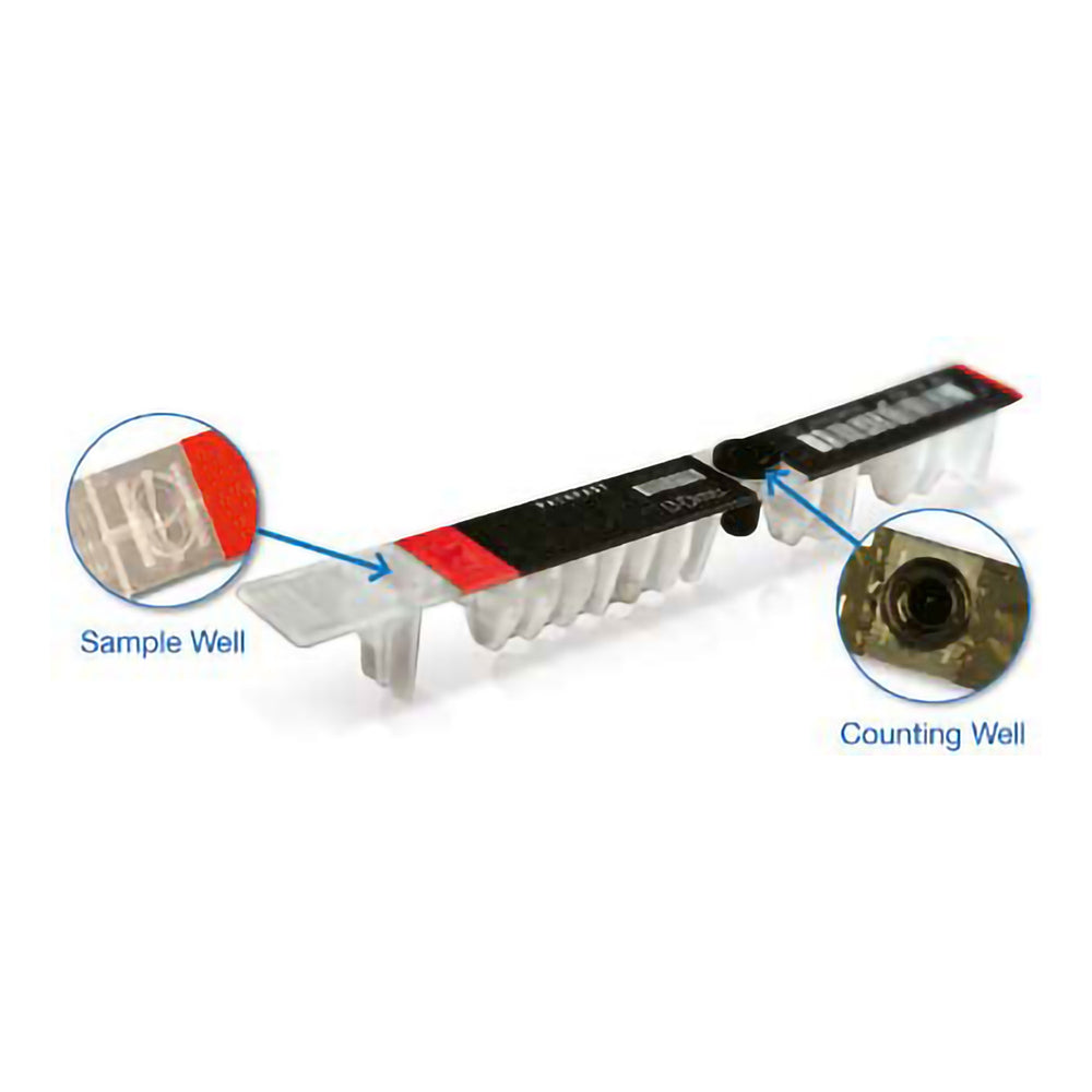 SFI 16.1 L&L HARNESS 2' PULL UP LAP