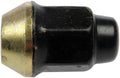 M12-1.25 CAP NUT