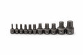 SET RW INSERT BIT TORX 11PC