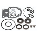 LOWER UNIT SEAL KIT