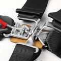 ALL ALL 5 POINT SEAT BELT