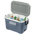COLEMAN RVP auto part
