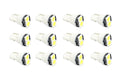 Diode Dynamics 194 LED Bulb SMD2 LED Warm - White Set of 12
