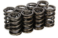 VALVE SPRINGS