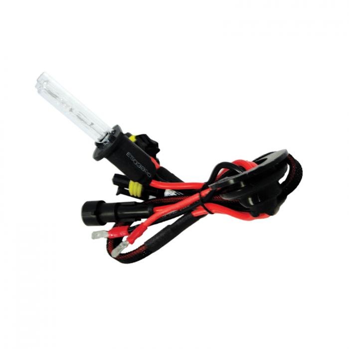 ORACLE H1 XENON HID BULB - 10000K