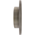 Centric 1994-2004 Mustang Base / GT Standard Rear Brake Rotor