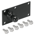 BALL & PLATE ASSY.