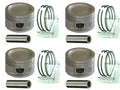 PISTON WITH RINGS