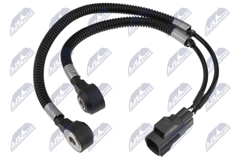 DELPHI auto part
