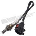 Walker Products Inc. - auto part