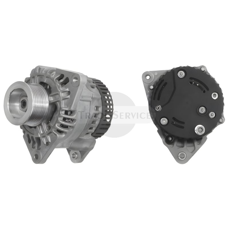 Alternator Pulley