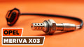 OXYGEN SENSOR