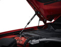 HOOD STRUTS 2015-17 MUSTANG GT (TER