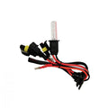 ORACLE H3 XENON HID BULB - 10000K