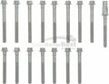 HEAD BOLT SET
