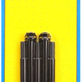 ARP 1/2-13 x 6.000 hex black oxide bolts
