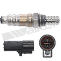 Walker Products Inc. - auto part