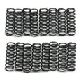 Sun Coast Converters springs