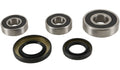 Pivot Works 95-04 Suzuki GSF600S Bandit Rear Wheel Bearing Kit