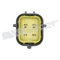 Walker Products Inc. - Sensors auto part detail