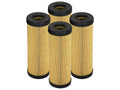 aFe PROGUARD Oil Filter- 4 Pack