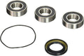 Pivot Works 14-17 Suzuki VL1500 Intruder Rear Wheel Bearing Kit
