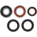 All Balls Racing Wheel Bearing Kit