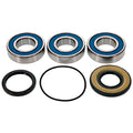 All Balls Racing Wheel Bearing Kit