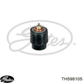 BEHR Engine Coolant Thermostat