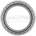 BRG CONE 33281