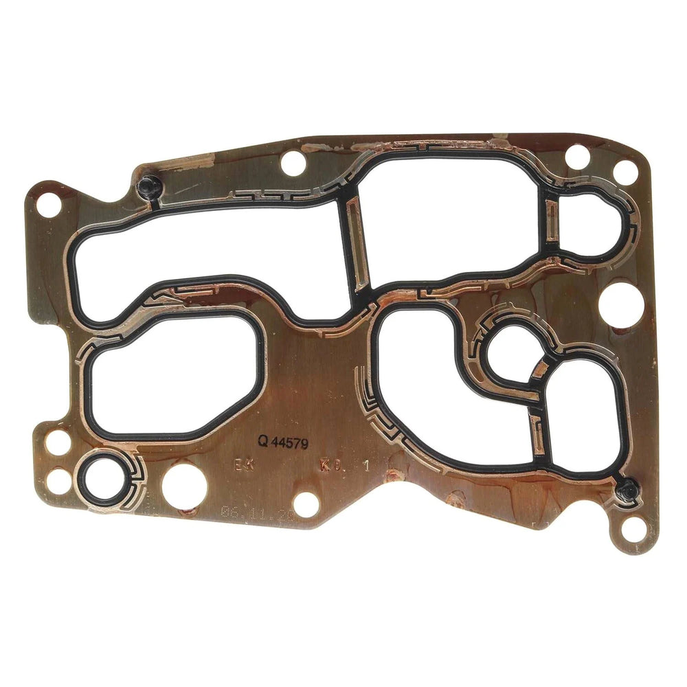 Engine Oil Cooler Gasket