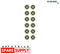Engine Valve Stem Oil Seal Set - 12-37256-01