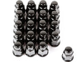 Rugged Ridge Wheel Lug Nut Set of 20 Black 1/2-20