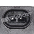 ENGINE VARIABLE VALVE TIMING (VVT)