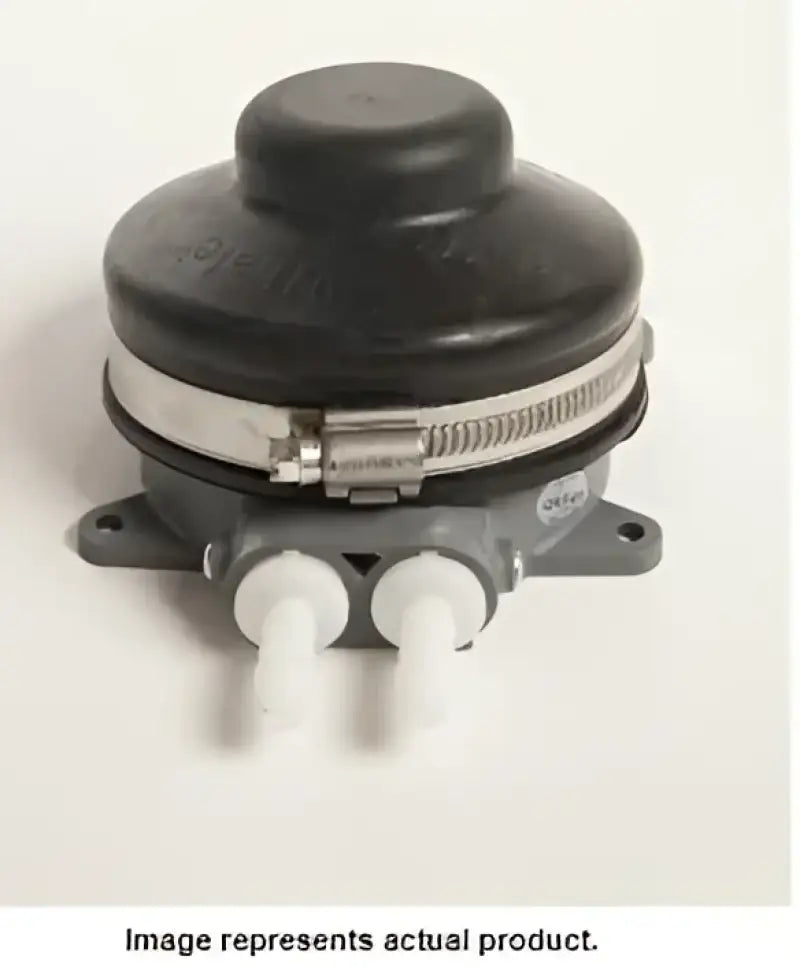 WHALE auto part